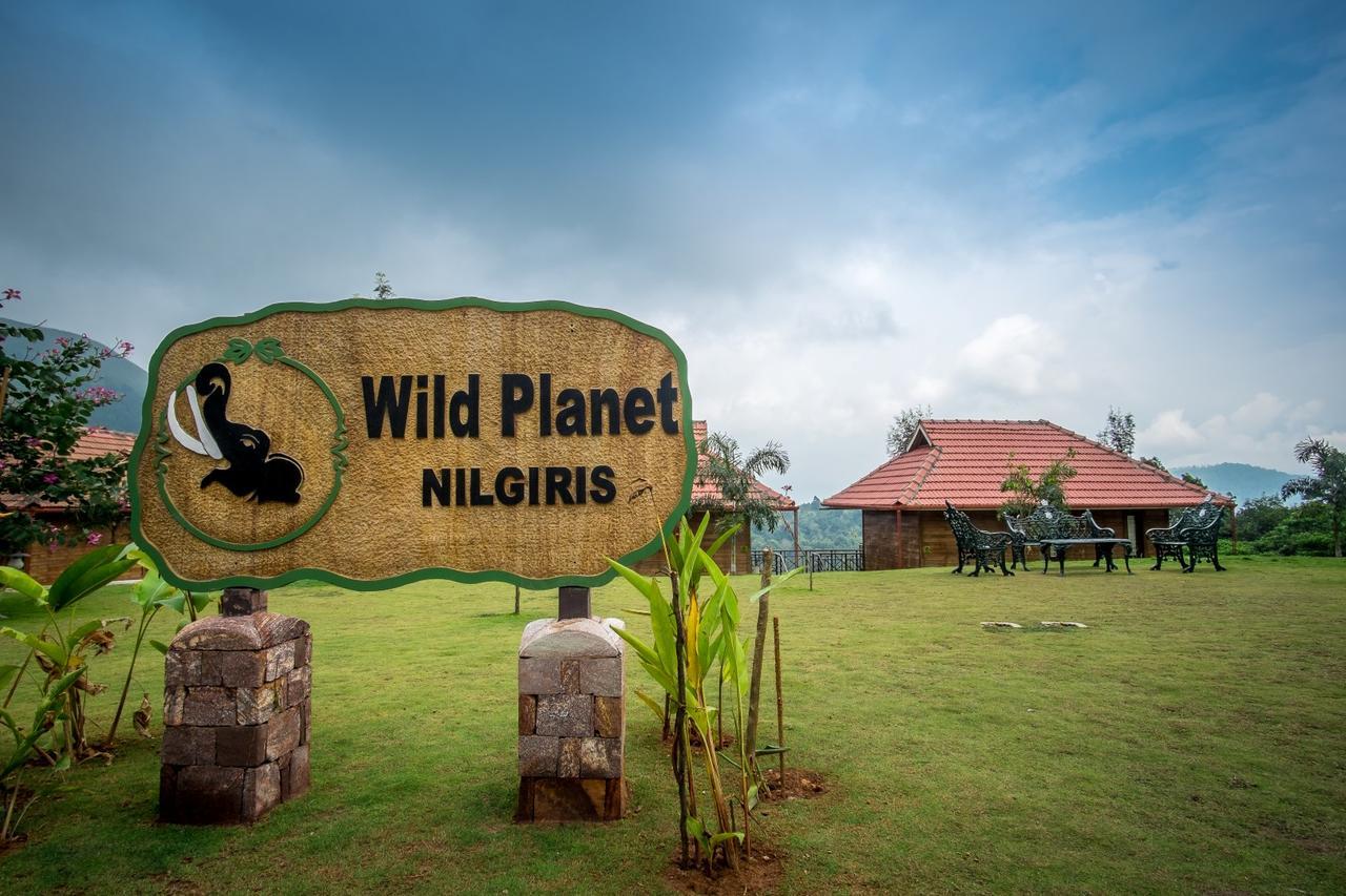 Wild Planet Jungle Resort Devala Экстерьер фото